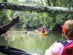 kayaking punta uva