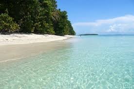 bocas